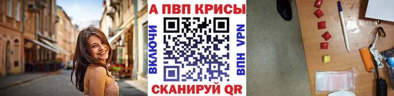 А ПВП крисы CK  Зима 