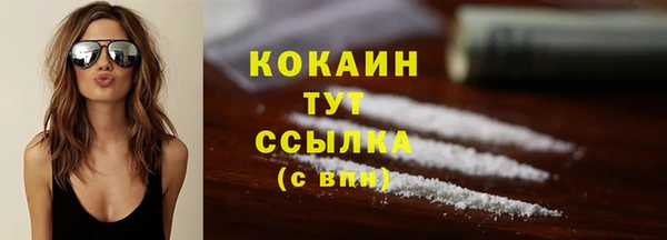 ешки Богданович