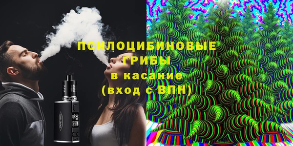 сатива Богородск