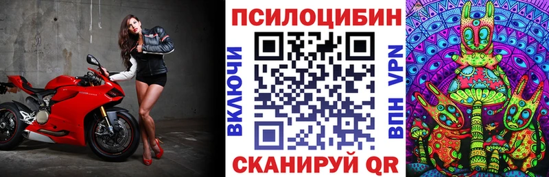 Галлюциногенные грибы мицелий  Зима 