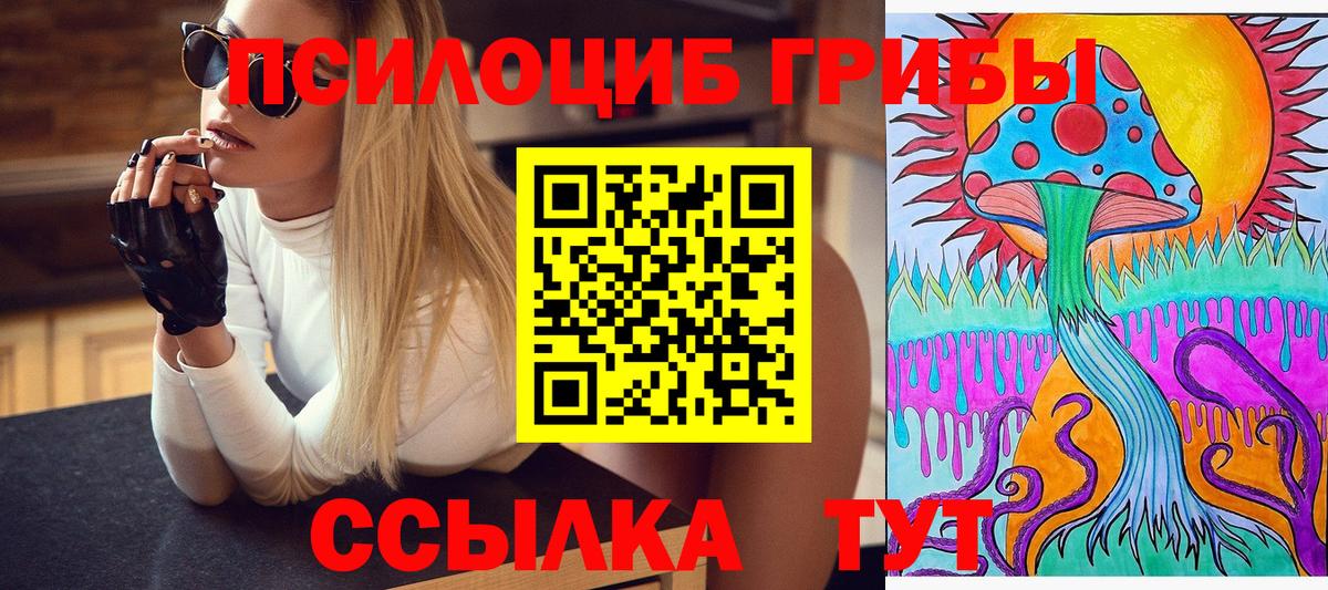 Галлюциногенные грибы Cubensis Зима