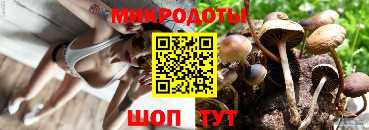 Галлюциногенные грибы Cubensis  как найти   Зима  Вход с VPN 